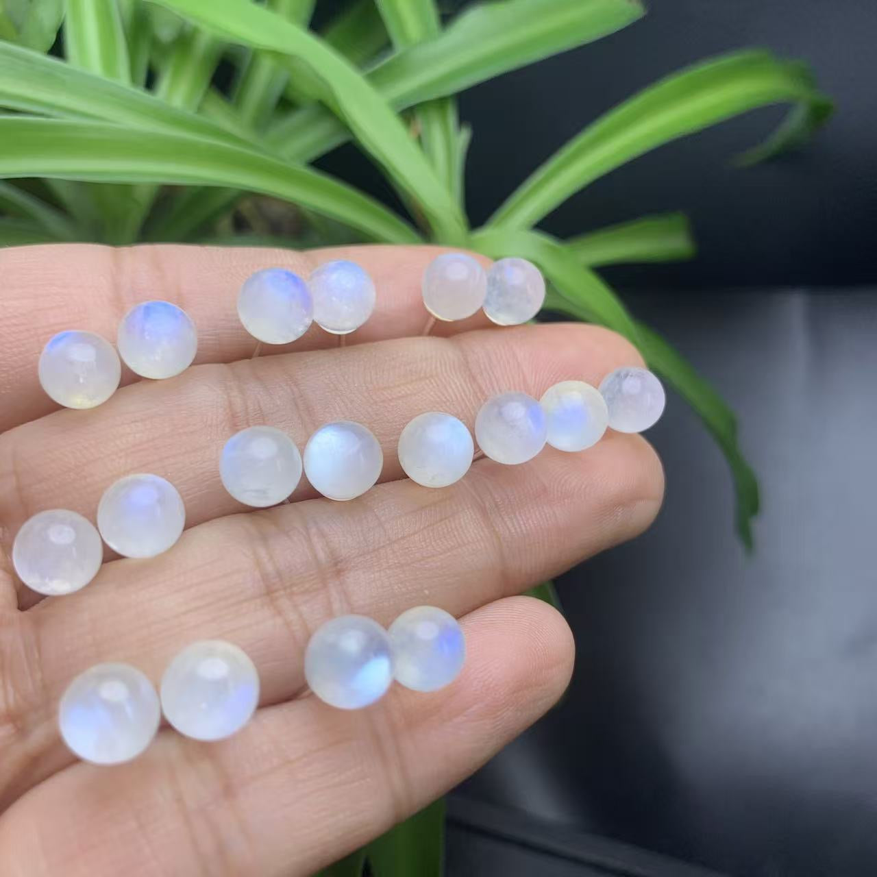 Sterling Silver Round Moonstone Stud Earrings